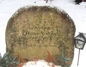 Hans Vatne gravminne.jpg