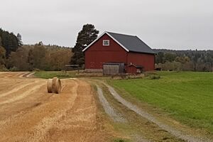 Hansrud Brandval vestside låven 2021.jpg