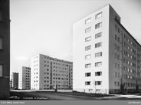 Lamellblokkene på Marienlyst, fra høyre: Suhms gate 18, Harald Hårfagres gate 12, Harald Hårfagres gate 10 og Hammerstads gate 21. Foto: Anders Beer Wilse (ca 1939).