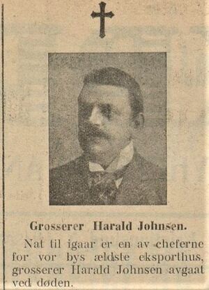 Harald Haarfagre Johnsen faksimile Express 1925.jpg