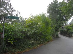 Harald Rømckes vei Oslo 2014.jpg