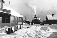 44. Harstad havn.jpg