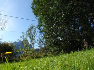 Haslekroken ved treet.JPG