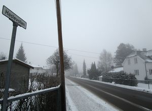 Haslevollen Oslo 2014.jpg