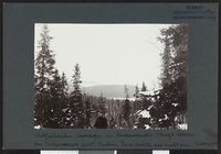 67. Hattfjelddalen statskog ved Unkervandet - no-nb digifoto 20160317 00155 bldsa NGU0394.jpg