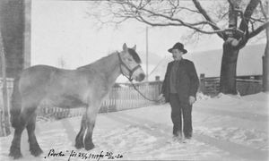 Haug Even 1920 Borka.jpg