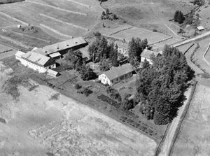 Haug sett fra lufta.jpg