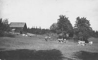 Frå ein husmannsplass under Haug (Nordlia) i Østre Toten kommune, ca. 1935. Foto: Ukjent.