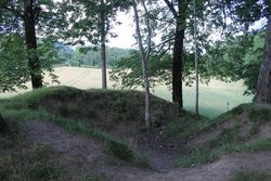 Toppen av haug 1, med tydelige spor etter graving. Foto: Chris Nyborg (2016).