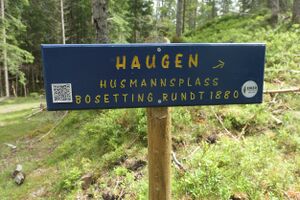 Haugen (kk-2022-06-28-P1010971).jpg