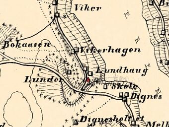 Haugen 1883.jpg