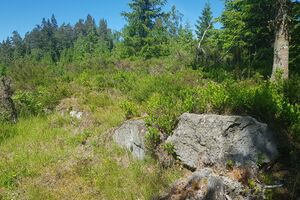 Haukberget under Lier Kongsvinger tufter.jpg