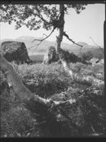 378. Haukelifjell - no-nb digifoto 20150624 00257 NB MIT FNR 27824.jpg