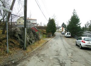 Hauketosvingen Oslo 2015.jpg