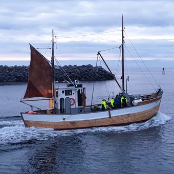 Havblikk (Fiskefartøy 1960).jpg