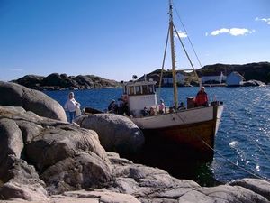 Havoern sommartur.jpg