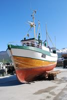 Foto: Nils Marius Johansen, NNFA