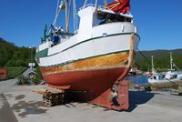 Foto: Nils Marius Johansen, NNFA