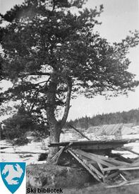 Torvstrøhytter i forfall. Foto: Ski lokalhistoriske arkiv (1950).