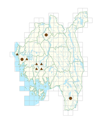 Hedlundia mougeotii.png