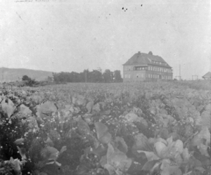 Heftyes barnehjem.png