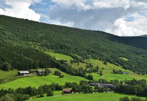 Heidal Bjølstad 2023.jpg