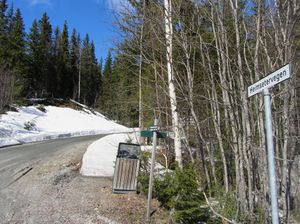 Heimsetervegen Veggli 2014.jpg