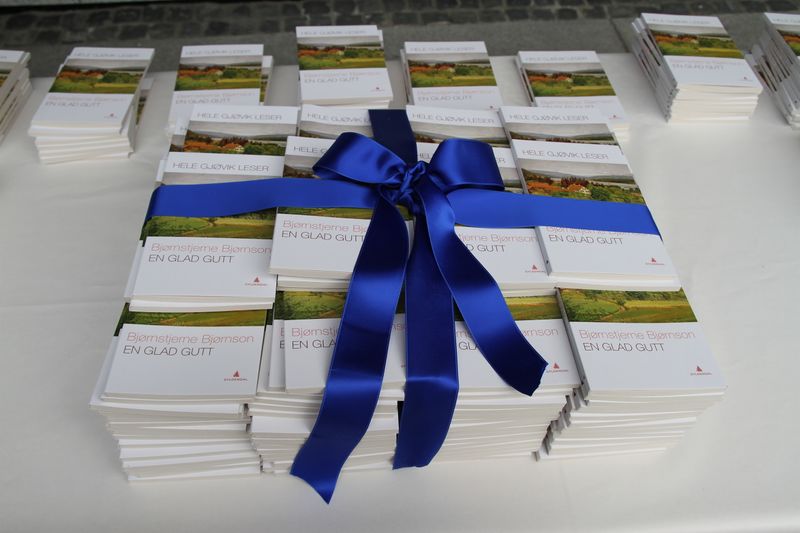 Fil:Hele Gjøvik leser glad gutt.jpg