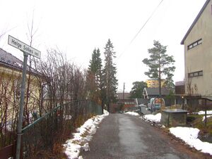 Helge Sollies vei Oslo 2014.jpg