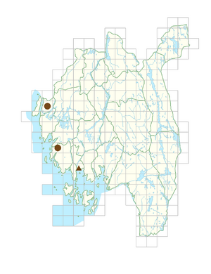 Helianthus pauciflorus.png