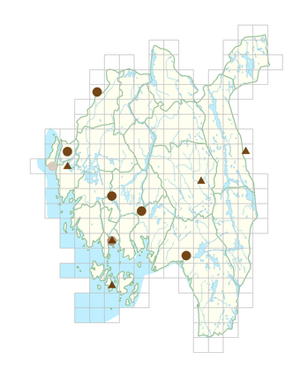 Helianthus tuberosus.png