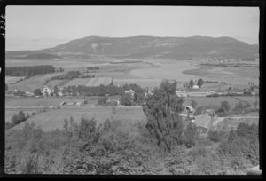 Hell - no-nb digifoto 20151009 00029 NB MIT FNR 05036.jpg