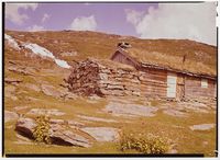 22. Hemsedal Århundre-gammelt Sæterhus - no-nb digifoto 20160512 00084 NB NKF P 04 08 015.jpg