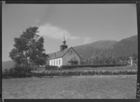 380. Hen - no-nb digifoto 20151105 00159 NB MIT FNR 06547.jpg