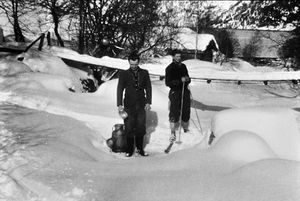 Hengebrua i Høydalen.jpg