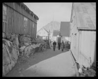 250. Henningsvær - no-nb digifoto 20151126 00004 NB MIT FNR 09878.jpg