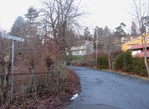 Henrik Backers vei Oslo 2013.jpg