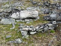 Tuft etter eldre buplass i Nørdre Bolla. Foto: Arnfinn Kjelland (2015)