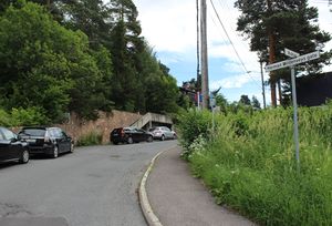 Herman Wildenveys gate Drammen 2016.JPG