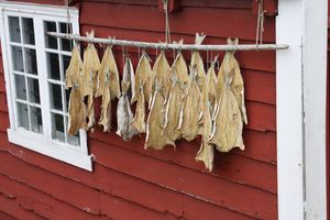 Heroy gard torrfisk.jpg