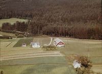320. Hesjabråtan - Bingen WF500.jpg