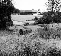 Hesjer Tangerud tilhørende Karl Tangerud. I bakgrunnen Skårerødegården. Foto 1961.