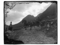 41. Hest og kjærre - NB MS G4 0801.jpg