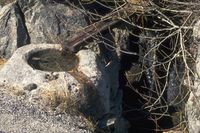 Hestedrikkekar i Rogaland. (Foto: Svein Magne Olsen, 2011)