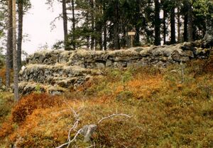 Hestegjøpel ved Skarragruvene (oeb-228641).jpg