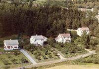 323. Hestehagan ved Vestfossen - WF065.jpg