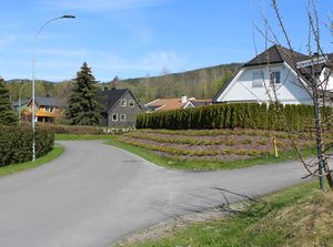 Hestehagen vei i Drammen 2016.jpg