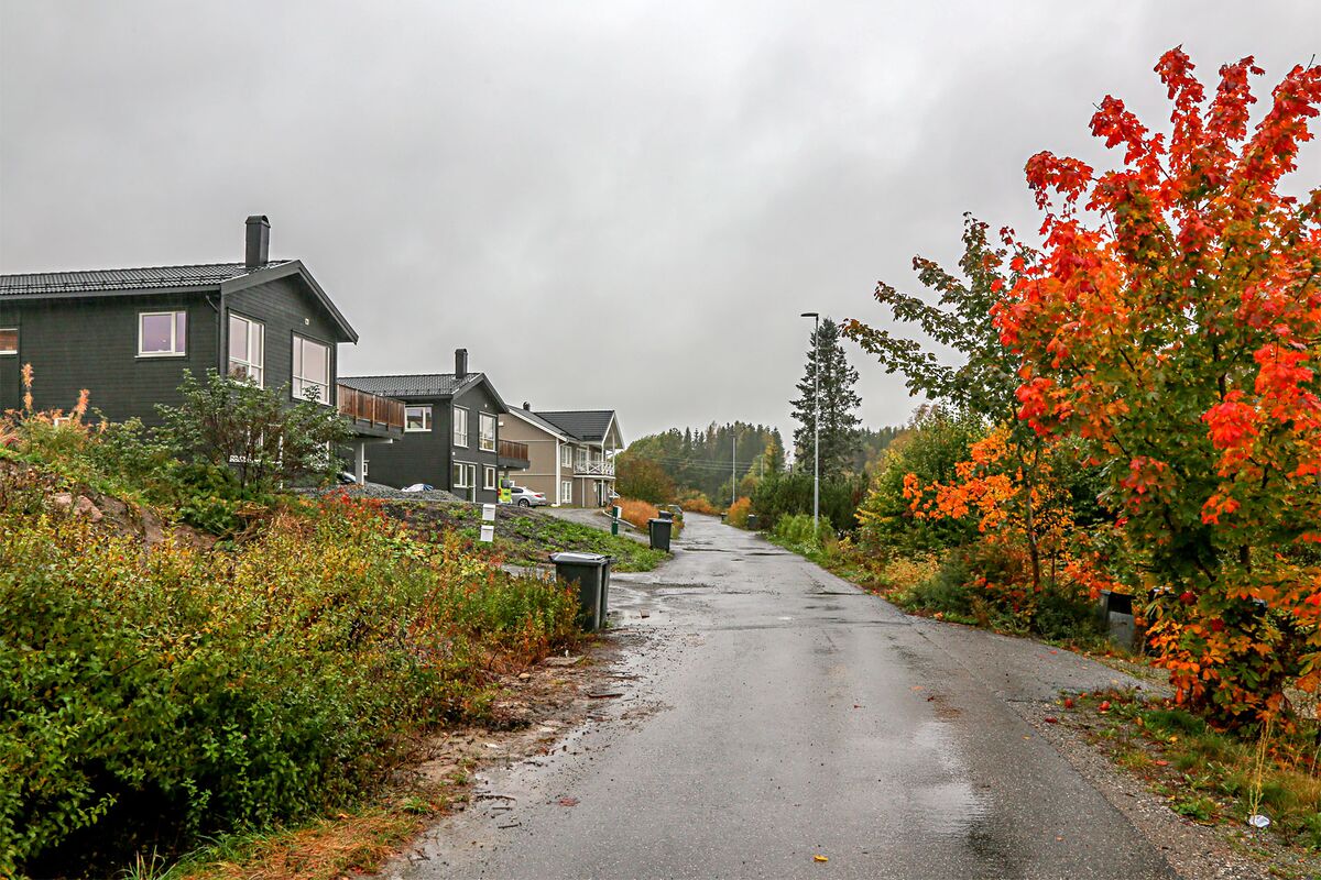 Hesteskoen vei I Nordre Follo Lokalhistoriewiki no