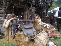 7. Hesteutstyr 1.JPG