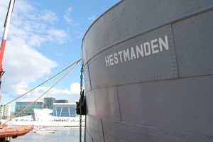 Hestmanden i Bjørvika 05.JPG